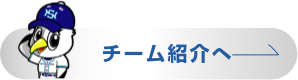 チーム紹介を見る